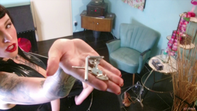 Video Thumbnail