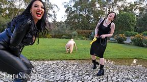 Video Thumbnail