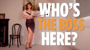 Video Thumbnail