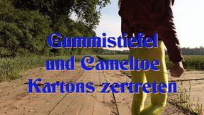 Video Thumbnail