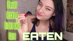 Video Thumbnail