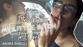 Video Thumbnail